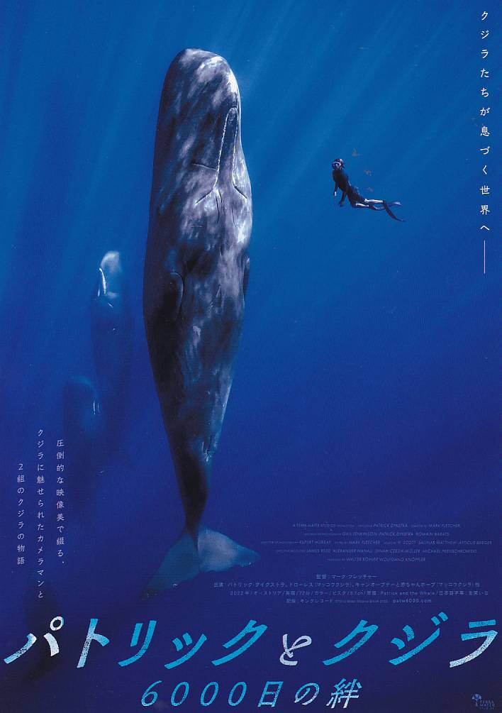画像1: パトリックとクジラ6000日の絆