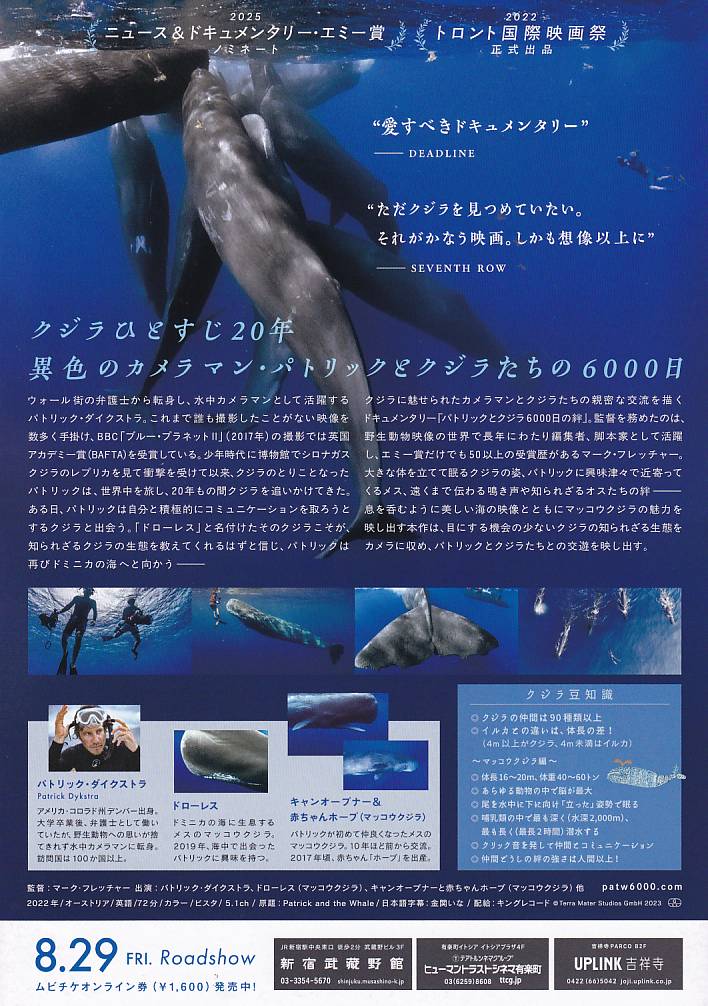 画像2: パトリックとクジラ6000日の絆