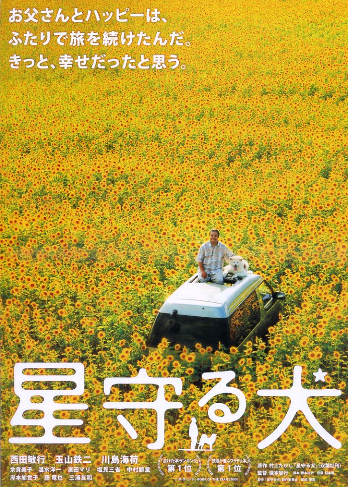 (3)タイプ2:タイトル色白表面